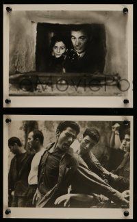 8d842 BATTLE OF ALGIERS 3 8x10 stills '68 directed by Gillo Pontecorvo, different war images!