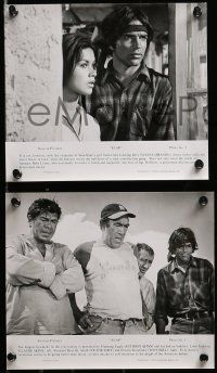 8d549 FLAP 8 8x10 stills '70 Native American Anthony Quinn, cool Story-in-Pictures!