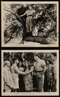 8d740 FURY OF THE CONGO 5 8x10 stills '51 Johnny Weissmuller as Jungle Jim, Sherry Moreland!