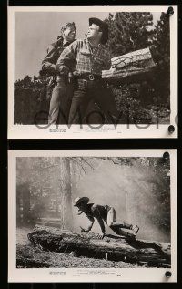 8d454 REDWOOD FOREST TRAIL 10 8x10 stills '50 great images of Arizona Cowboy Rex Allen!