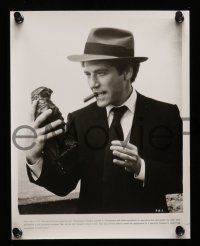 8h019 BLACK BIRD presskit w/ 21 stills '75 George Segal, slapstick parody of The Maltese Falcon!