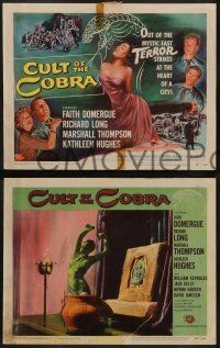 8k069 CULT OF THE COBRA 8 LCs '55 beauty Faith Domergue changed to a thing of TERROR, great images!