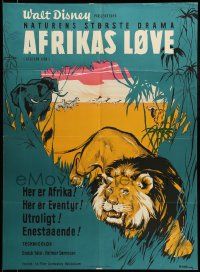 9b292 AFRICAN LION Danish '56 Walt Disney jungle safari documentary, cool animal artwork!