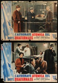 9b227 CREEPING UNKNOWN set of 2 Italian photobustas '56 Val Guest's Quatermass Xperiment, Hammer!
