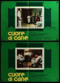 9b213 CUORE DI CANE set of 6 Italian 18x26 pbustas '76 Alberto Lattuada's Cuore di cane
