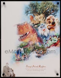 9k478 WALT DISNEY WORLD 100 YEARS OF MAGIC 2 17x22 specials '01 Animal Kingdom, Epcot Center!