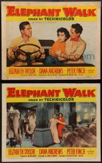 9r902 ELEPHANT WALK 2 LCs '54 Elizabeth Taylor w/ Dana Andrews and lots of pachyderms!