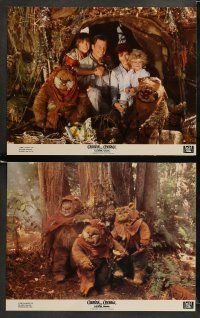 9r145 CARAVAN OF COURAGE 8 color 11x14 stills '84 An Ewok Adventure, Star Wars, Eric Walker!