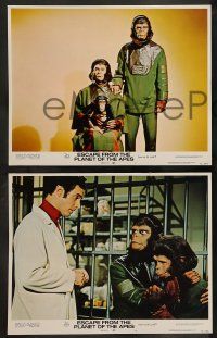 9r684 ESCAPE FROM THE PLANET OF THE APES 4 LCs '71 Roddy McDowall, sci-fi sequel!