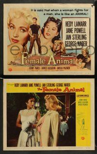 9r222 FEMALE ANIMAL 8 LCs '58 great images of sexy Hedy Lamarr & Jane Powell, George Nader!