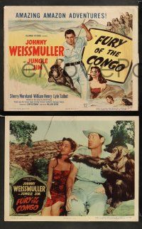 9r234 FURY OF THE CONGO 8 LCs '51 great images of Johnny Weissmuller as Jungle Jim!