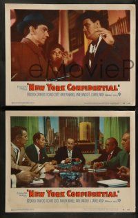 9r384 NEW YORK CONFIDENTIAL 8 LCs '55 Broderick Crawford, Richard Conte, Marilyn Maxwell!