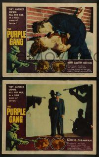 9r819 PURPLE GANG 3 LCs '59 Robert Blake, Barry Sullivan, they matched Al Capone crime for crime!