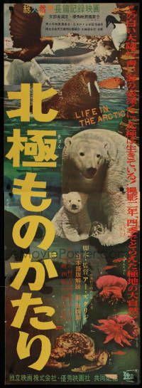 9t860 ICE OF THE OCEAN Japanese 2p '56 cool Russian polar wildlife documentary!