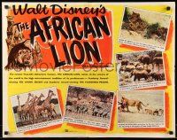 9w377 AFRICAN LION 1/2sh '55 Walt Disney jungle safari documentary, cool wildlife animal images!