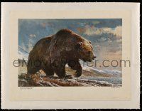 9z037 BOB KUHN linen 12x17 art print '60s art of Alaskan Brown Bear in Shore Patrol artwork!