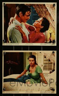1a134 BAND OF ANGELS 6 color 8x10 stills '57 Clark Gable, beautiful slave mistress Yvonne De Carlo!