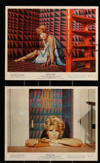 1a037 MODESTY BLAISE 9 color 8x10 stills '66 directed by Joseph Losey, Monica Vitti, Dirk Bogarde!