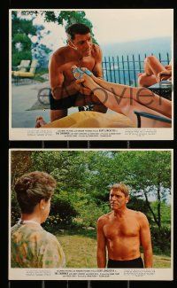 1a039 SWIMMER 9 color 8x10 stills '68 Burt Lancaster, directed by Frank Perry, existential!