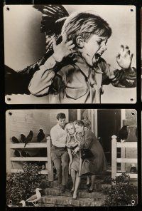1c118 BIRDS 6 Swiss LCs '63 Alfred Hitchcock directed, Rod Taylor & Tippi Hedren!