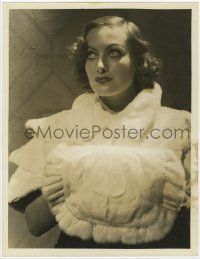1d203 JOAN CRAWFORD deluxe 10x13 still '30s great waist-high portrait with white fur top & muff!