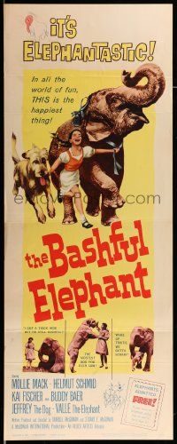 1h637 BASHFUL ELEPHANT insert '62 Buddy Baer, Mollie Mack, animal friends!