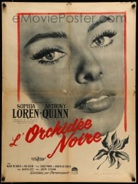 1p832 BLACK ORCHID French 24x31 '59 super c/u of sexy Sophia Loren, directed by Martin Ritt!