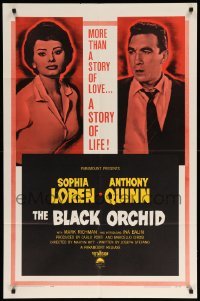 1t113 BLACK ORCHID 1sh '59 Anthony Quinn, Sophia Loren, a story of love directed by Martin Ritt!