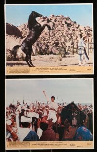 1x032 BLACK STALLION RETURNS 8 8x10 mini LCs '83 Kelly Reno, cool horse racing images!
