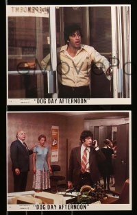1x044 DOG DAY AFTERNOON 8 int'l 8x10 mini LCs '75 Pacino, Durning, Lumet bank robbery crime classic