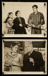 1x282 GIRL OF THE LIMBERLOST 13 8x10 stills '45 Ruth Nelson, the beauty of a young girl's love!