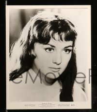 1x238 LEGIONS OF THE NILE 16 8x10 stills '60 Italian Egypt epic, sexy Linda Cristal, Ettore Manni!