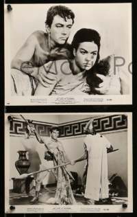1x214 LOVES OF SALAMMBO 18 8x10 stills '62 great images of Edmund Purdom & sexy Jeanne Valerie!