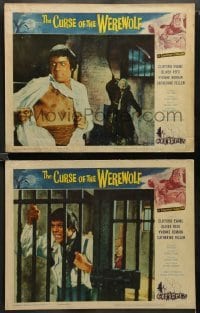 1y191 CURSE OF THE WEREWOLF 2 LCs '61 Hammer, Oliver Reed transforming & holding bars in jail cell!