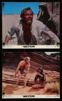 2h242 PLANET OF THE APES 2 color 8x10 stills '68 Charlton Heston and Linda Harrison!