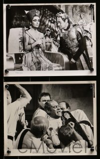 2h600 CLEOPATRA 5 8x10 stills '63 Rex Harrison as Julius Caesar, one with Elizabeth Taylor!