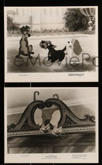 2h561 LADY & THE TRAMP 6 8x10 stills R72 Walt Disney romantic canine dog classic cartoon!