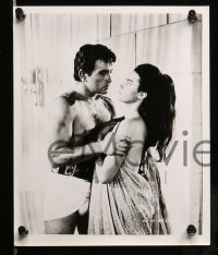 2h322 LOVES OF SALAMMBO 13 8x10 stills R60s great images of Edmund Purdom & sexy Jeanne Valerie!