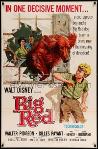 2p095 BIG RED 1sh '62 Disney, Walter Pigeon, artwork of Irish Setter dog jumping through window!
