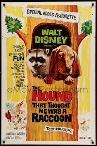 2p379 HOUND THAT THOUGHT HE WAS A RACCOON 1sh '60 Disney, wacky art of animals in tree!