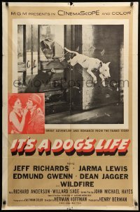 2p418 IT'S A DOG'S LIFE 1sh '55 great image of Wildfire the wonder dog jumping through window!