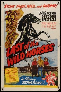 2p467 LAST OF THE WILD HORSES 1sh '48 James Ellison, Mary Beth Hughes, incredible western artwork!