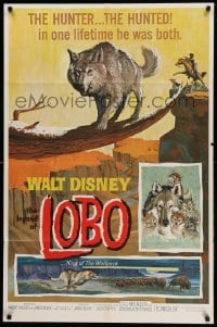 2p478 LEGEND OF LOBO 1sh '63 Walt Disney, King of the Wolfpack, cool artwork of wolf being hunted!