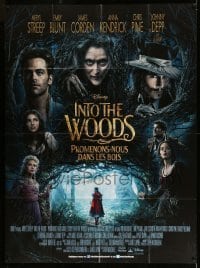 2s779 INTO THE WOODS French 1p '15 Disney, cool fantasy image of Meryl Streep as witch!