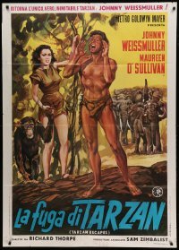 2s409 TARZAN ESCAPES Italian 1p R60s Johnny Weissmuller, Maureen O'Sullivan, Cheeta, different art!