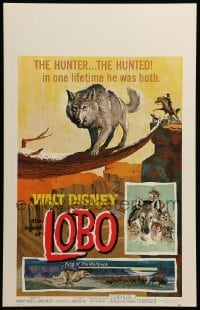2s115 LEGEND OF LOBO WC '63 Walt Disney, King of the Wolfpack, cool artwork of wolf being hunted!