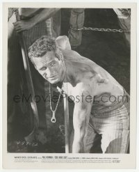 2w245 COOL HAND LUKE 8.25x10 still '67 great c/u of dirty barechested Paul Newman with shovel!