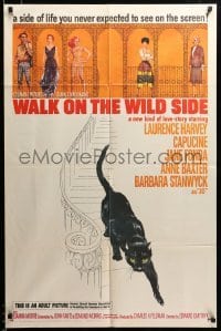 2z425 WALK ON THE WILD SIDE 1sh '62 cool artwork of black cat on stairs & sexy stars on balcony!