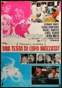 3j381 BAFFLED Italian 26x37 pbusta '72 Leonard Nimoy, Susan Hampshire & top cast!
