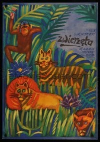 3j229 ANIMALS Polish 23x32 '65 cool Mucha Ihnatowicz art of big cats in jungle!